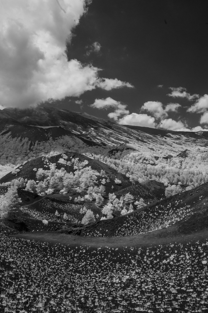DSC_3795 Weitblick zum Etna