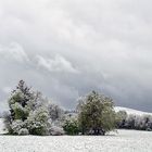 DSC_4059-Frühling sieht anders aus