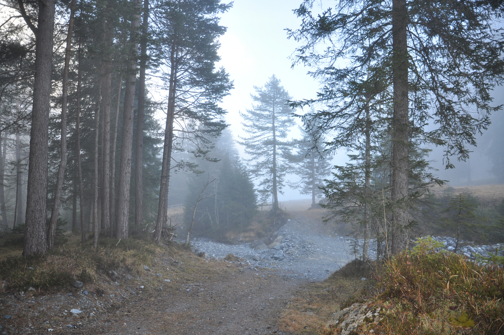 DSC_4205 Zum Kunkelspass