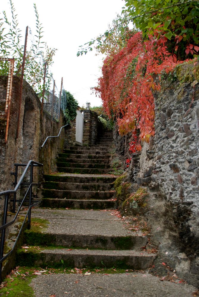 DSC_4820_aRundgang im Städtchen Cochem an der Mosel_29