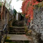 DSC_4820_aRundgang im Städtchen Cochem an der Mosel_29