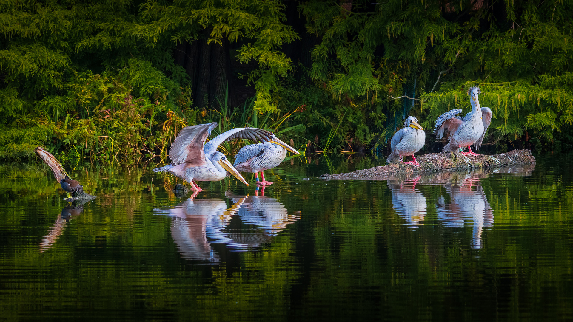 _DSC5933-Bearbeitet