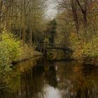 DSC_6755Herbstzeit