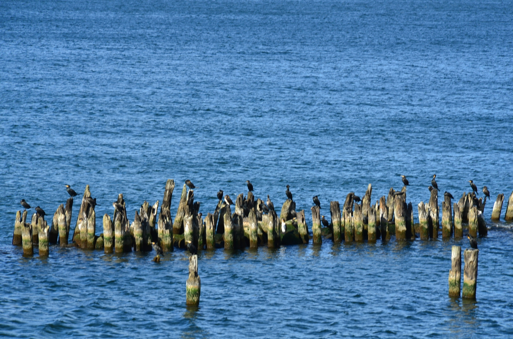 DSC_7796 Jeder auf seinem Platz