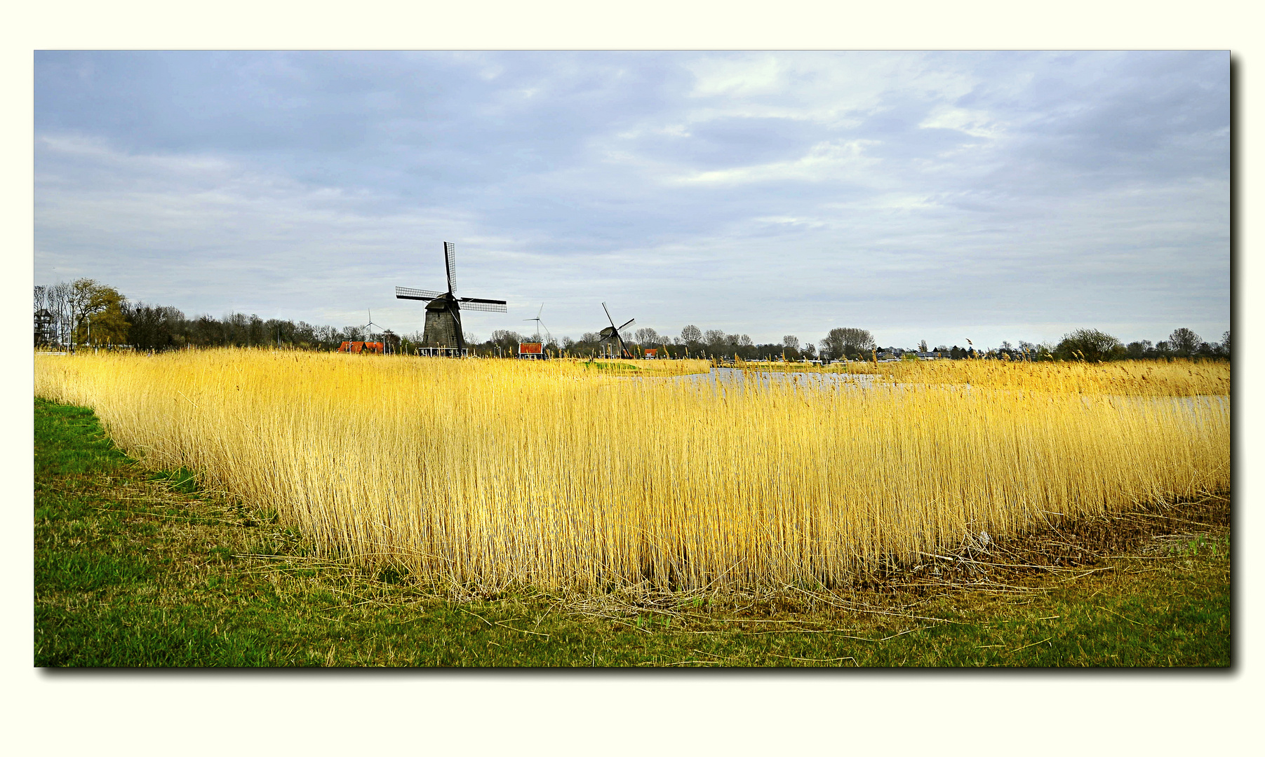 _DSC8057Alkmaar