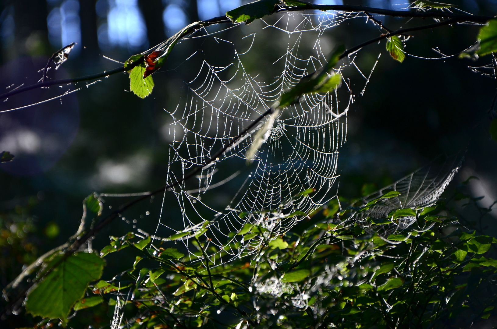DSC_8061