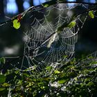 DSC_8061