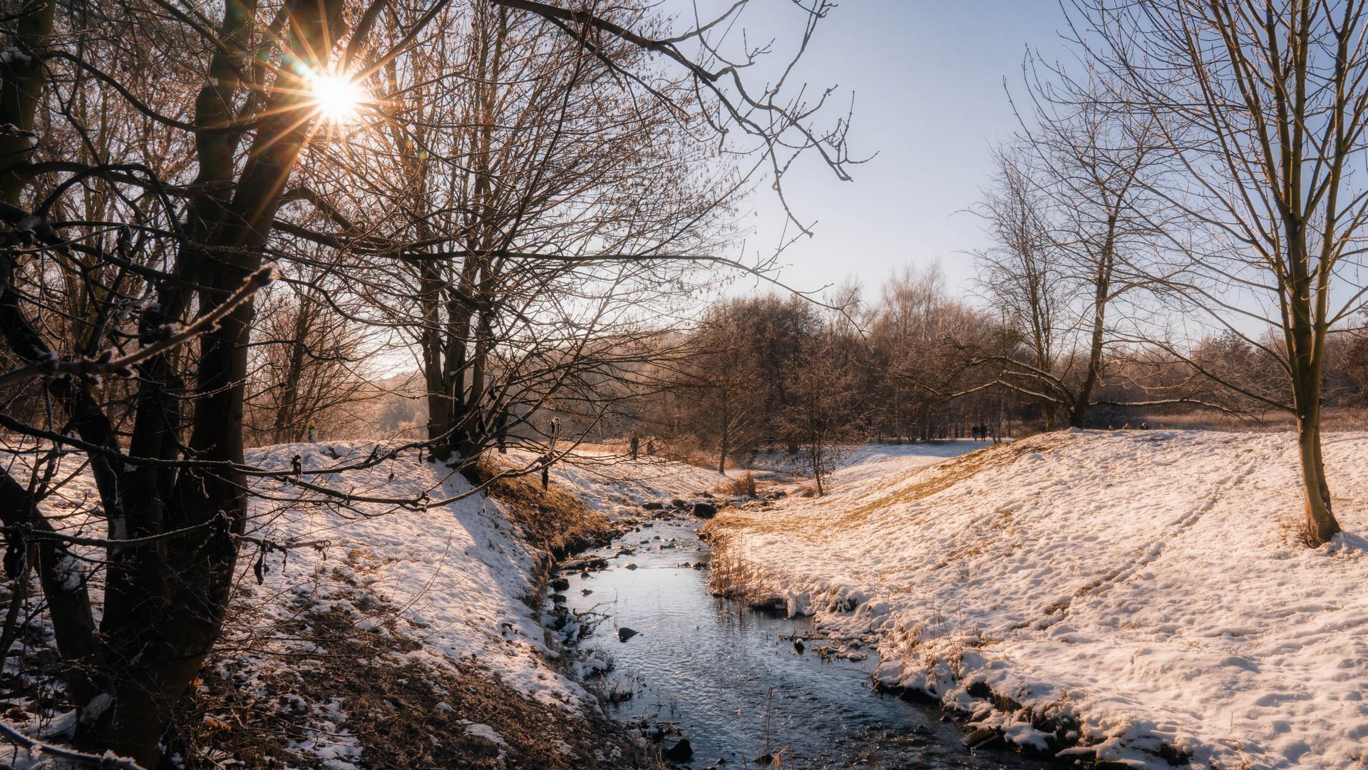 _DSC8866-Bearbeitet