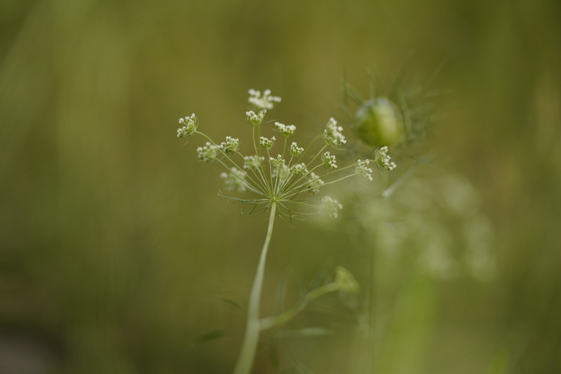 _DSC9005_Bildgröße ändern