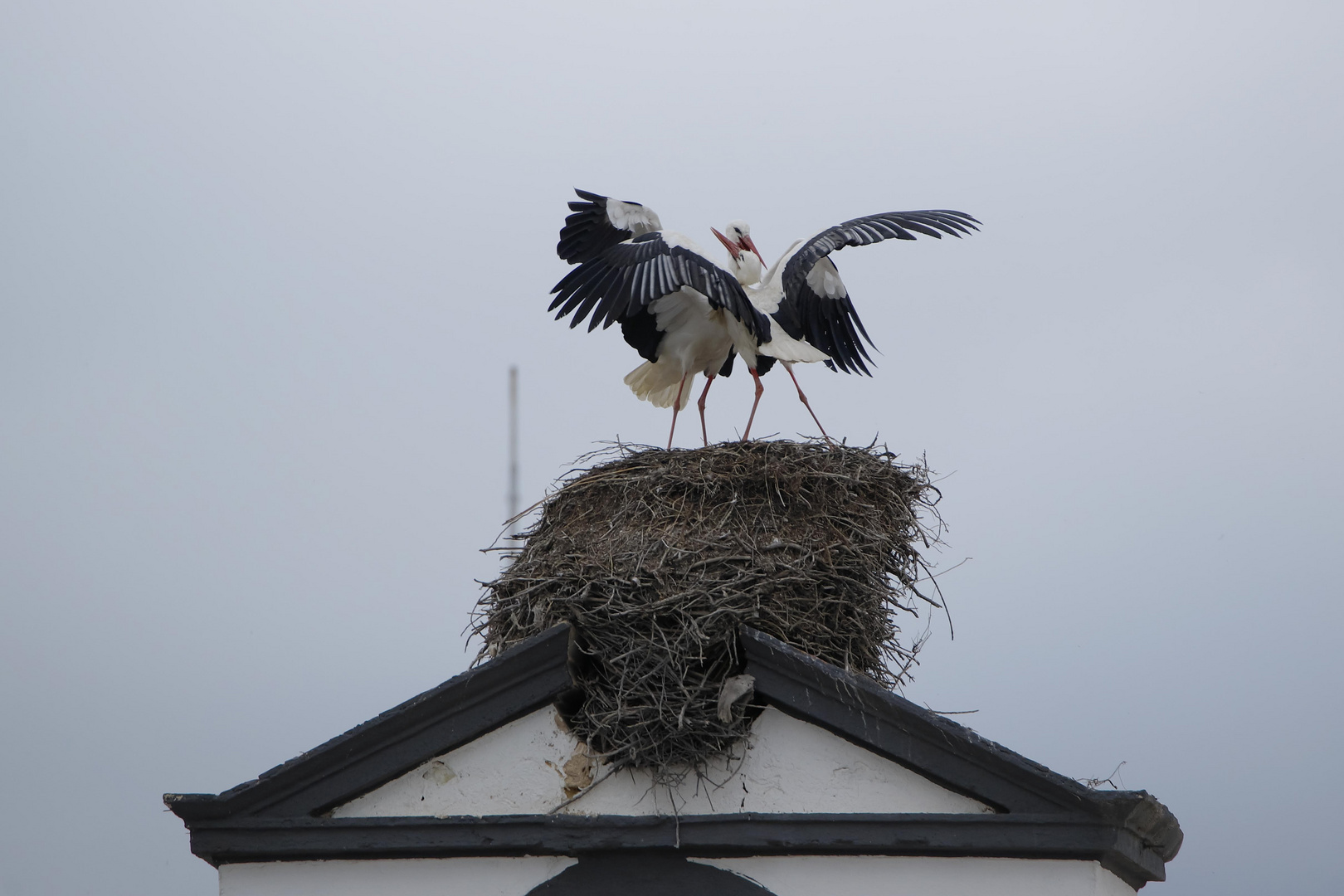 _DSC9308 bearbeitet 