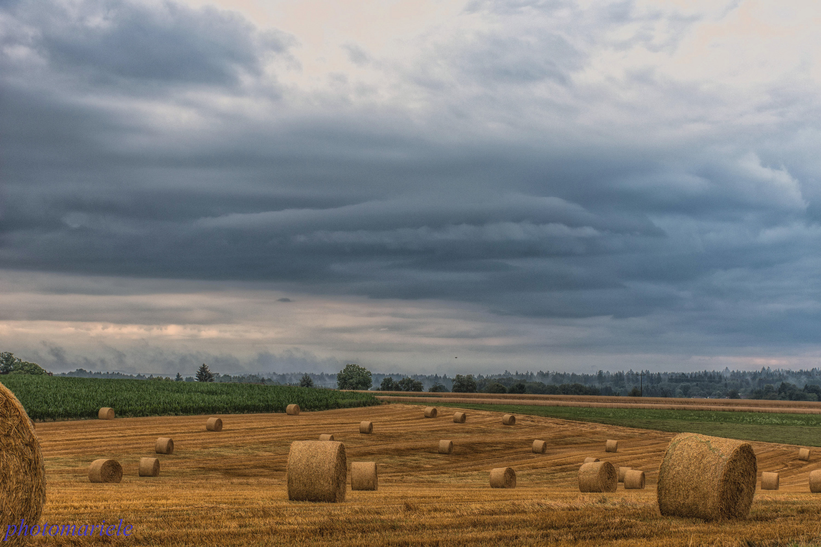 _DSC9431-Bearbeitet