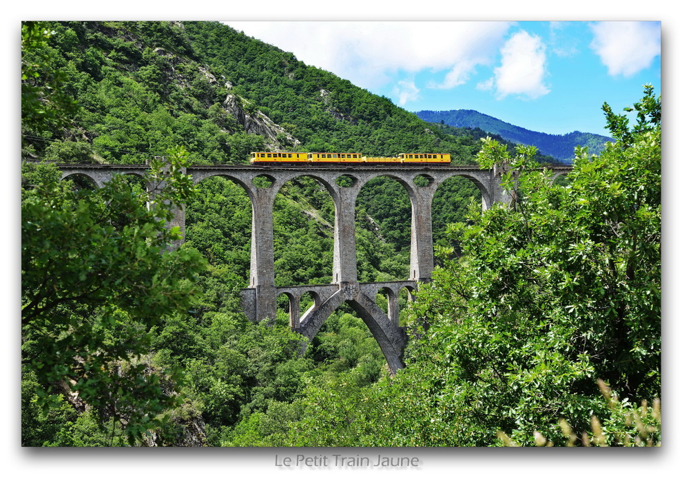 DSC_9575Frankreich_klein