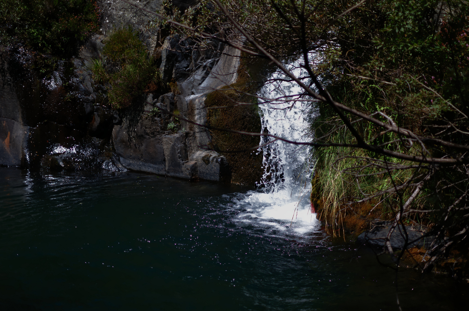 _DSC9929 Rio Torio (Piedrafita)