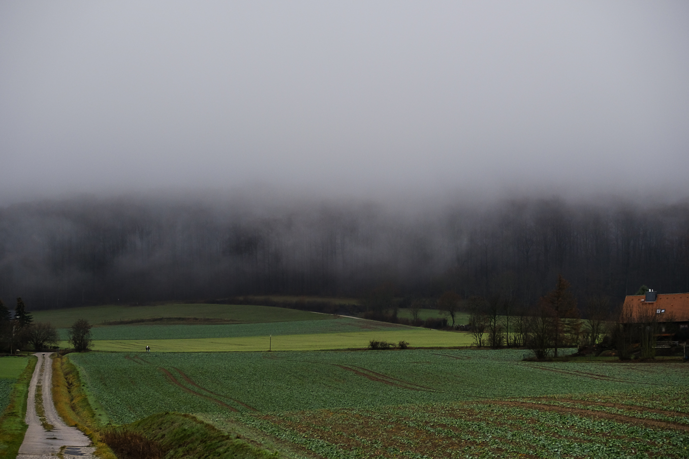 DSCF7258-1 Hochnebel