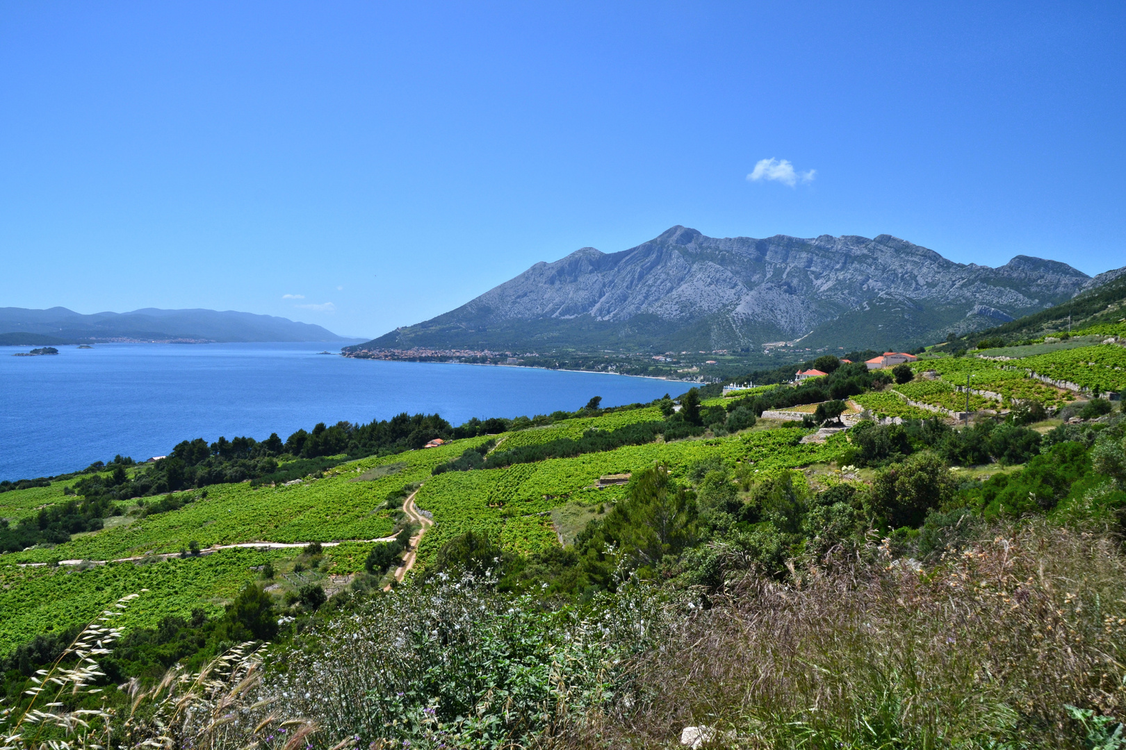 DSC_halbinsel peljesac