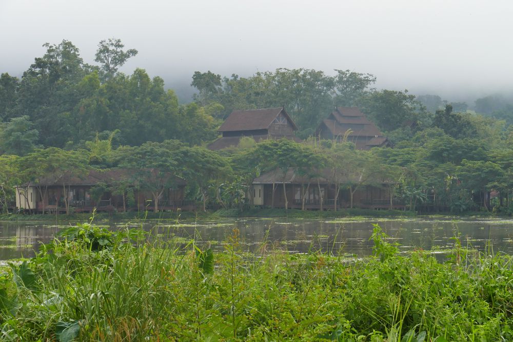 ...Dschungel am Inle See...