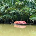 ...Dschungel Feeling am Thu Bon Fluss in Hoi An...