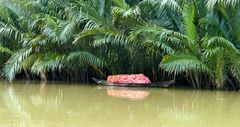 ...Dschungel Feeling am Thu Bon Fluss in Hoi An...