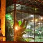 Dschungel gefangen im Schokoladenmuseum in Köln