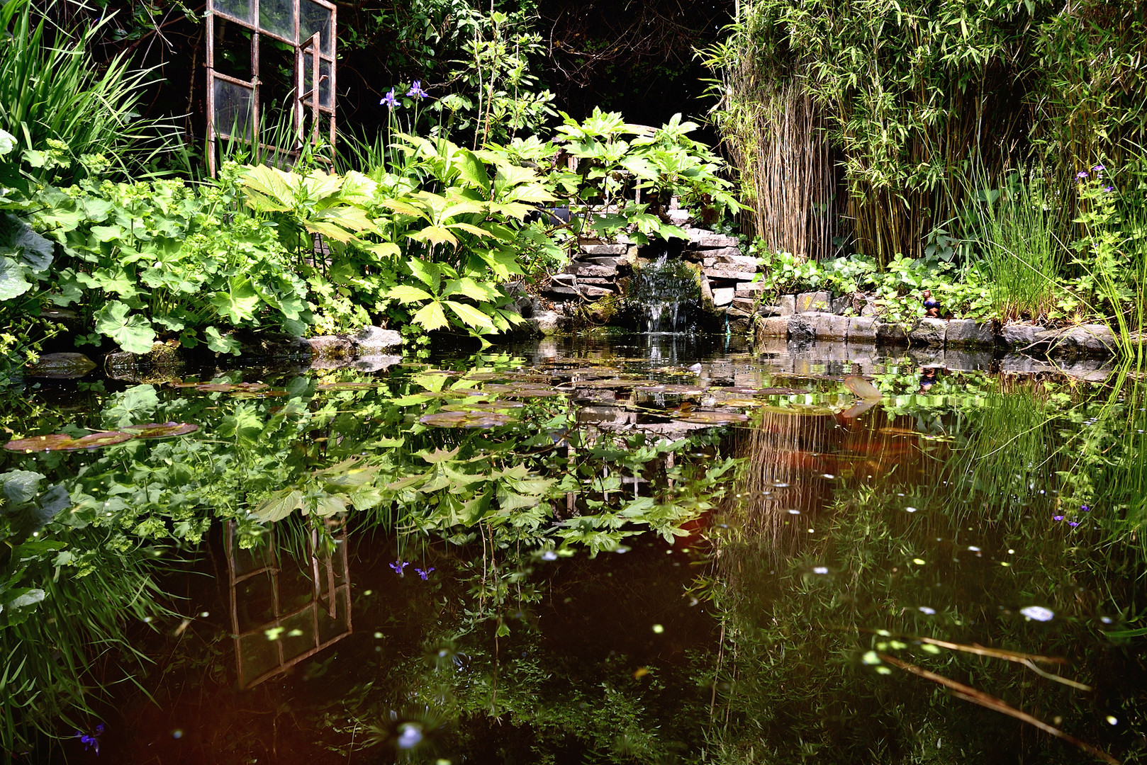 Dschungel im eigenen Garten