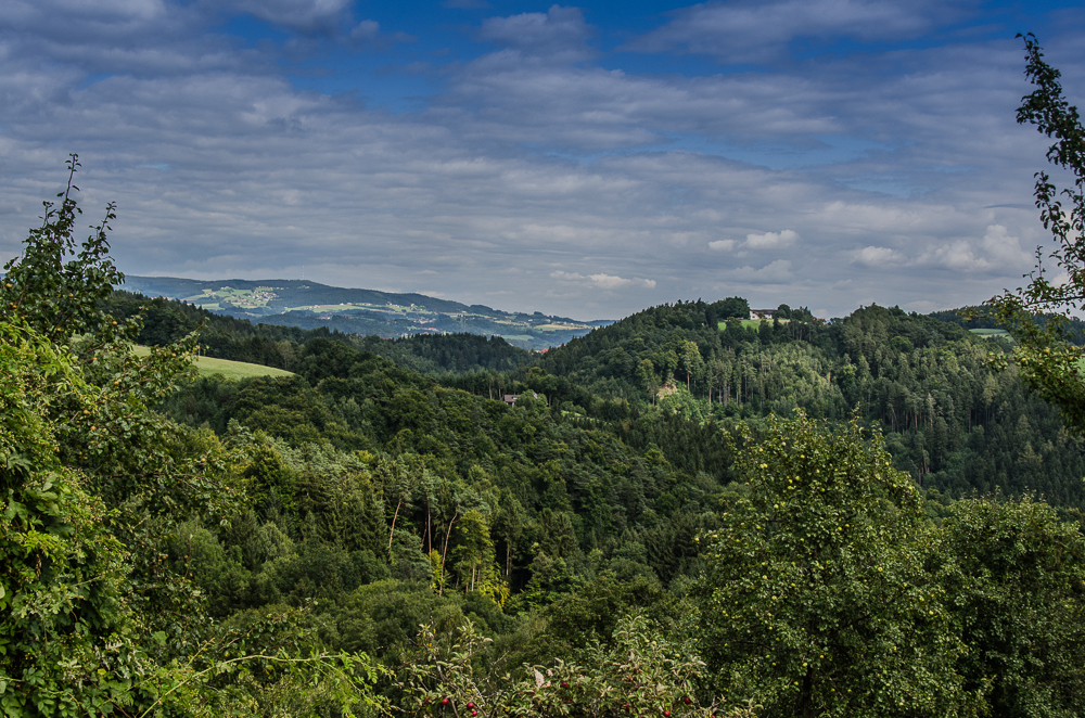 Dschungel im Mühlviertel