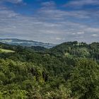 Dschungel im Mühlviertel