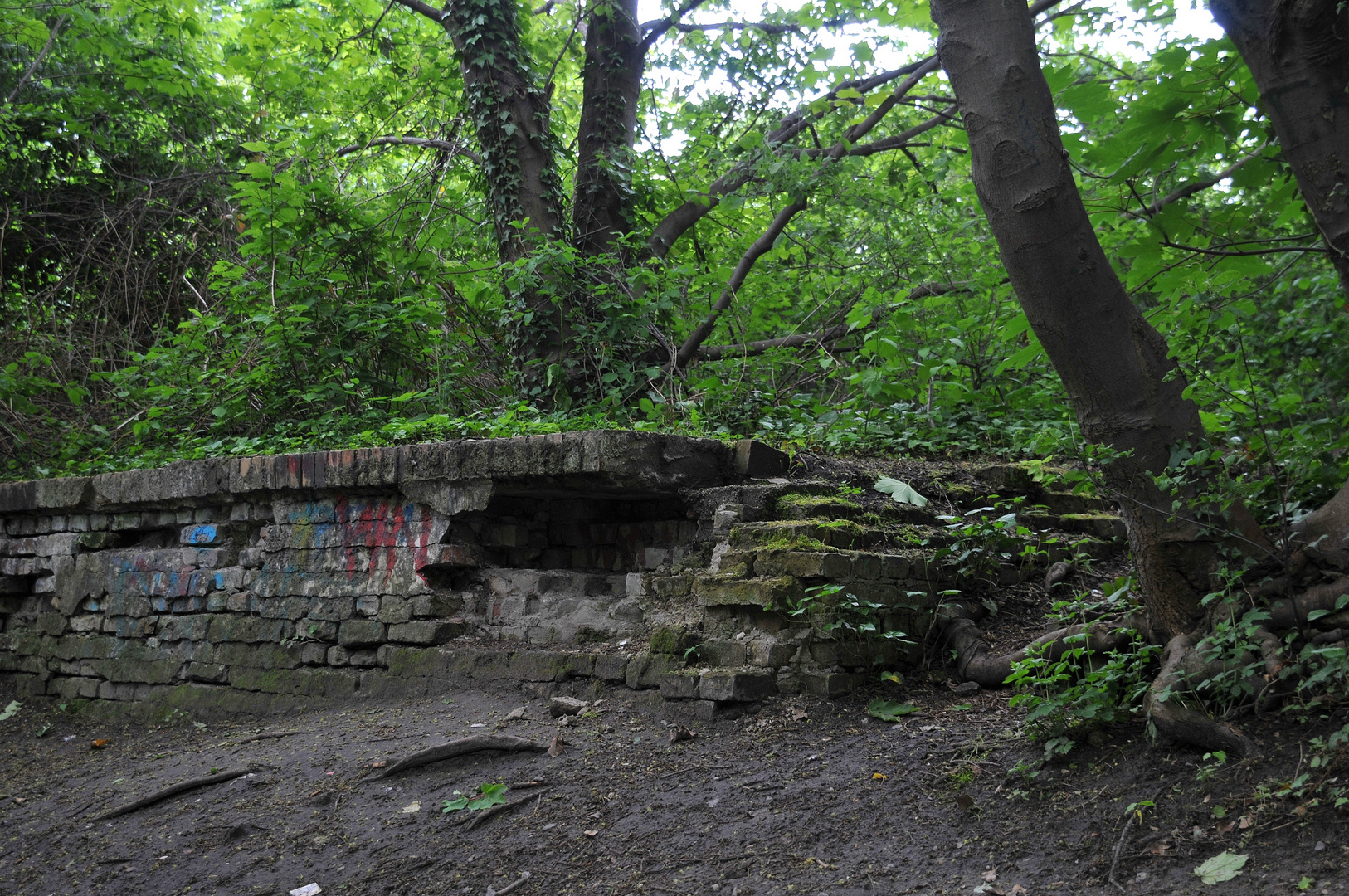 Dschungel in der Großstadt Berlin-Kreuzberg