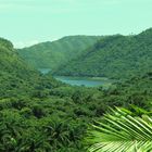 Dschungel Kuba