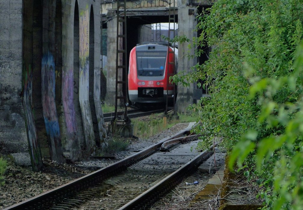 Dschungel-Pfade [Bahnraum Augsburg]