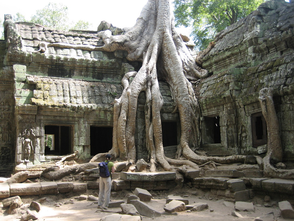 Dschungel-Tempel Ta Prohm (Kambodscha)