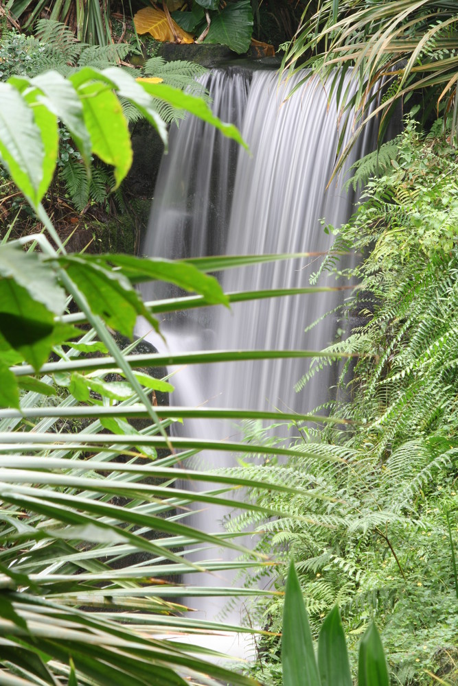 Dschungel-Wasserfall