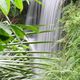 Dschungel-Wasserfall