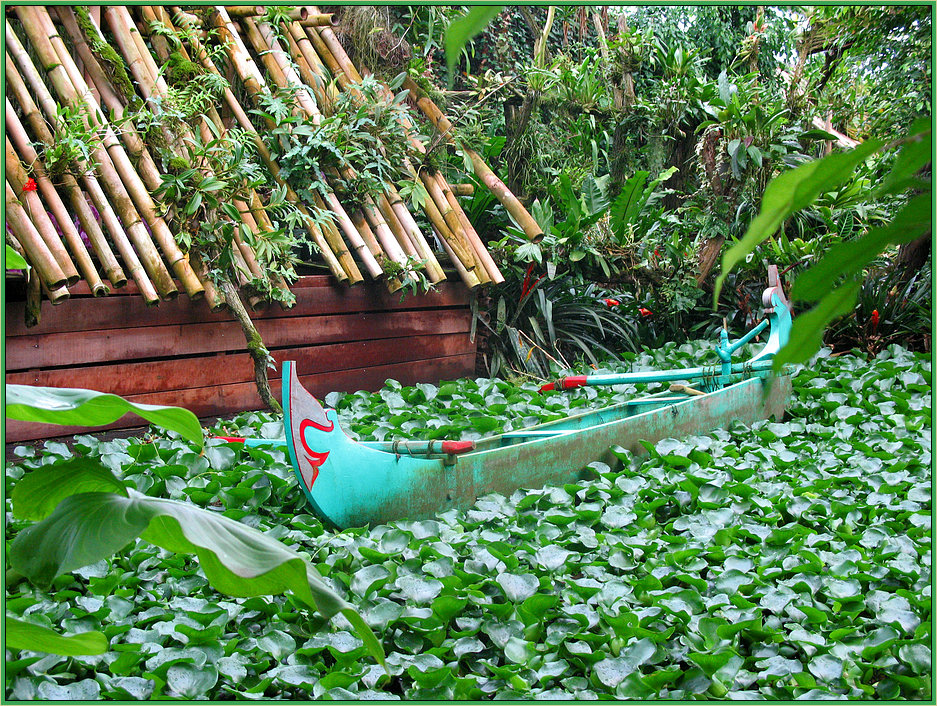 Dschungelboot von Martin und Elke (Lagemann-) WENDT 