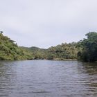 Dschungelidylle in Caramoan
