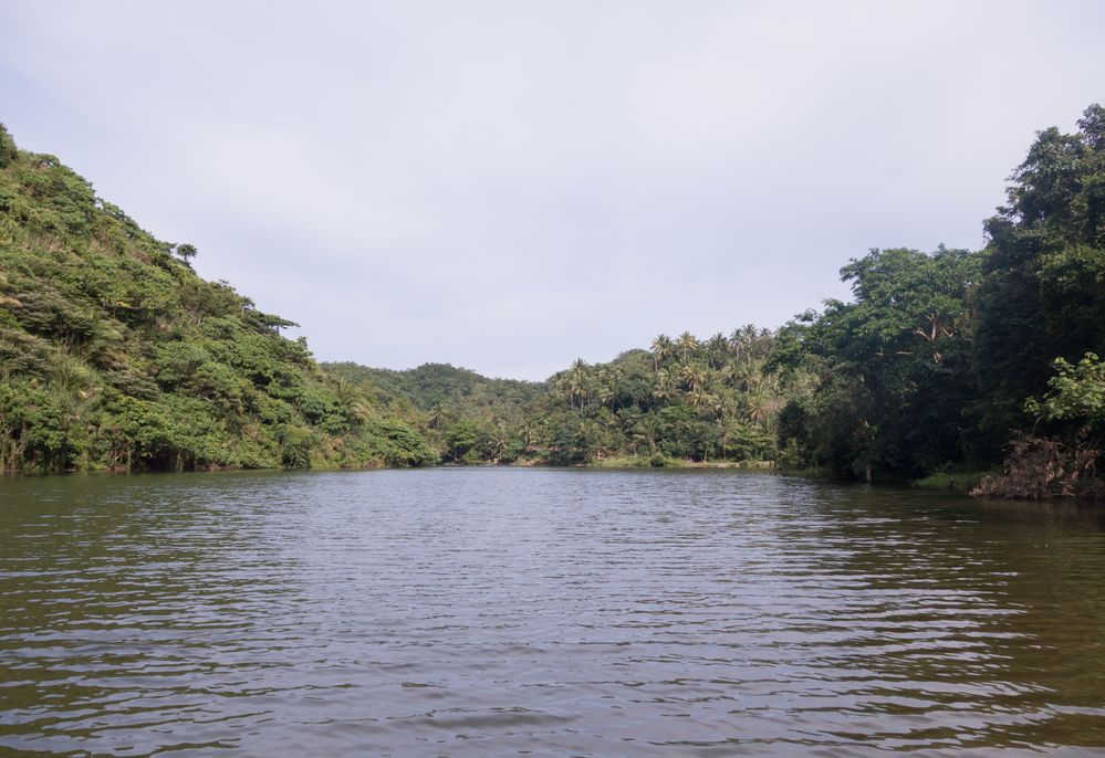 Dschungelidylle in Caramoan