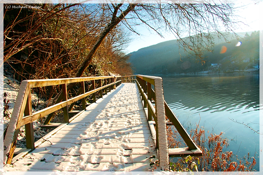 Dschungelpfad im Winter