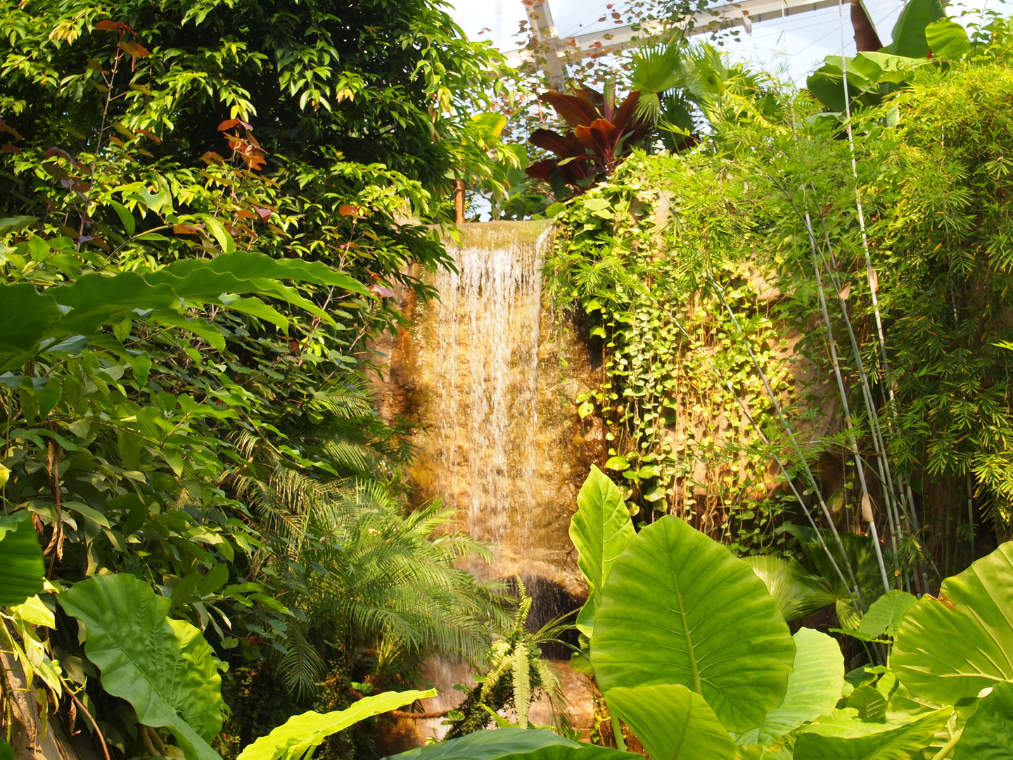 Dschungelwasserfall