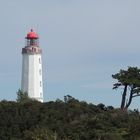 DSCN3206 (2)Leuchtturm von Hiddensee