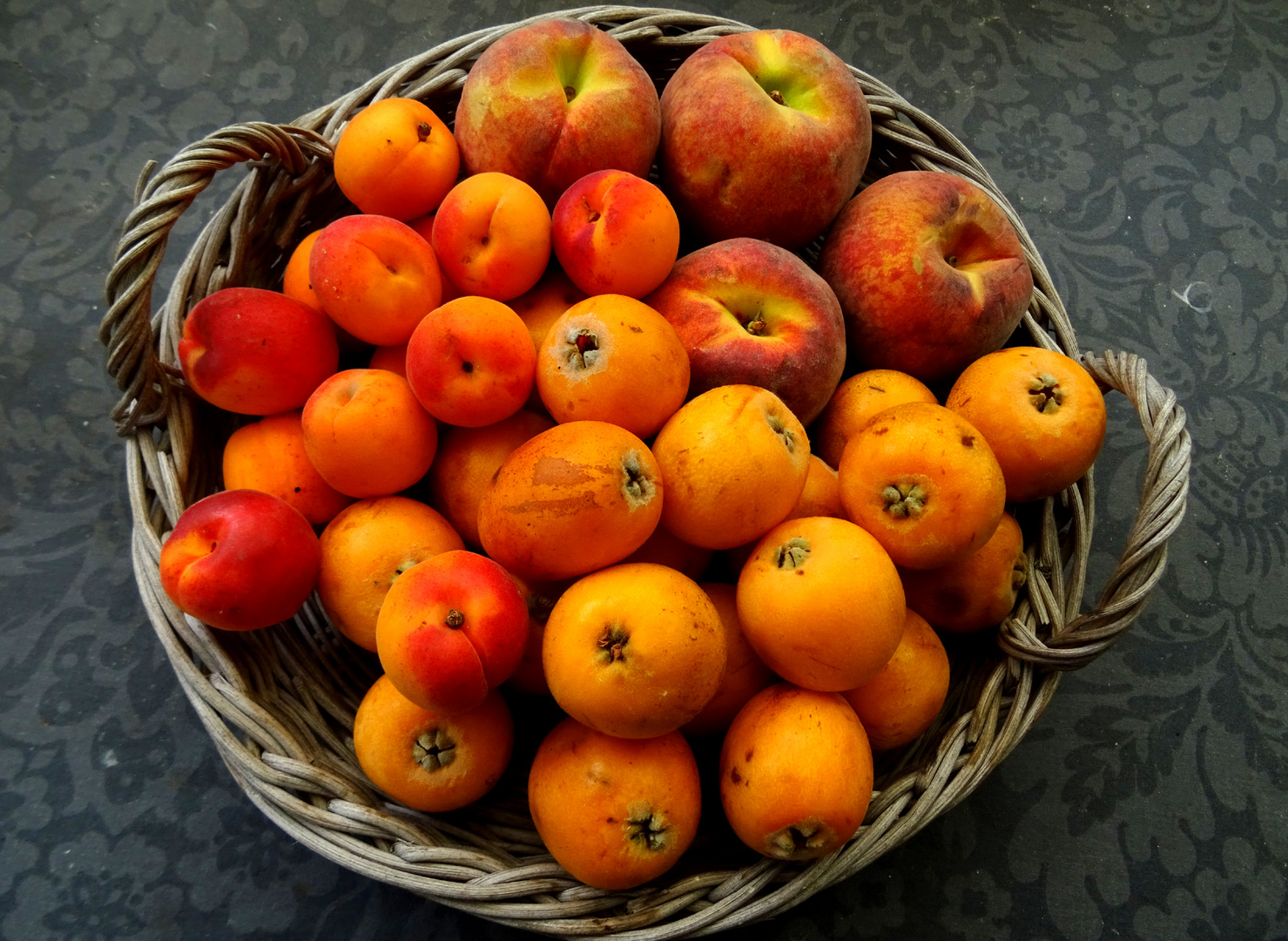 DSDes Abricots, des Pêches, des Néflier (Mispeln, Mousmoula).