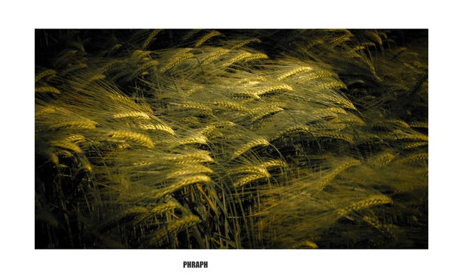 _DSF0700-Edit.jpg004