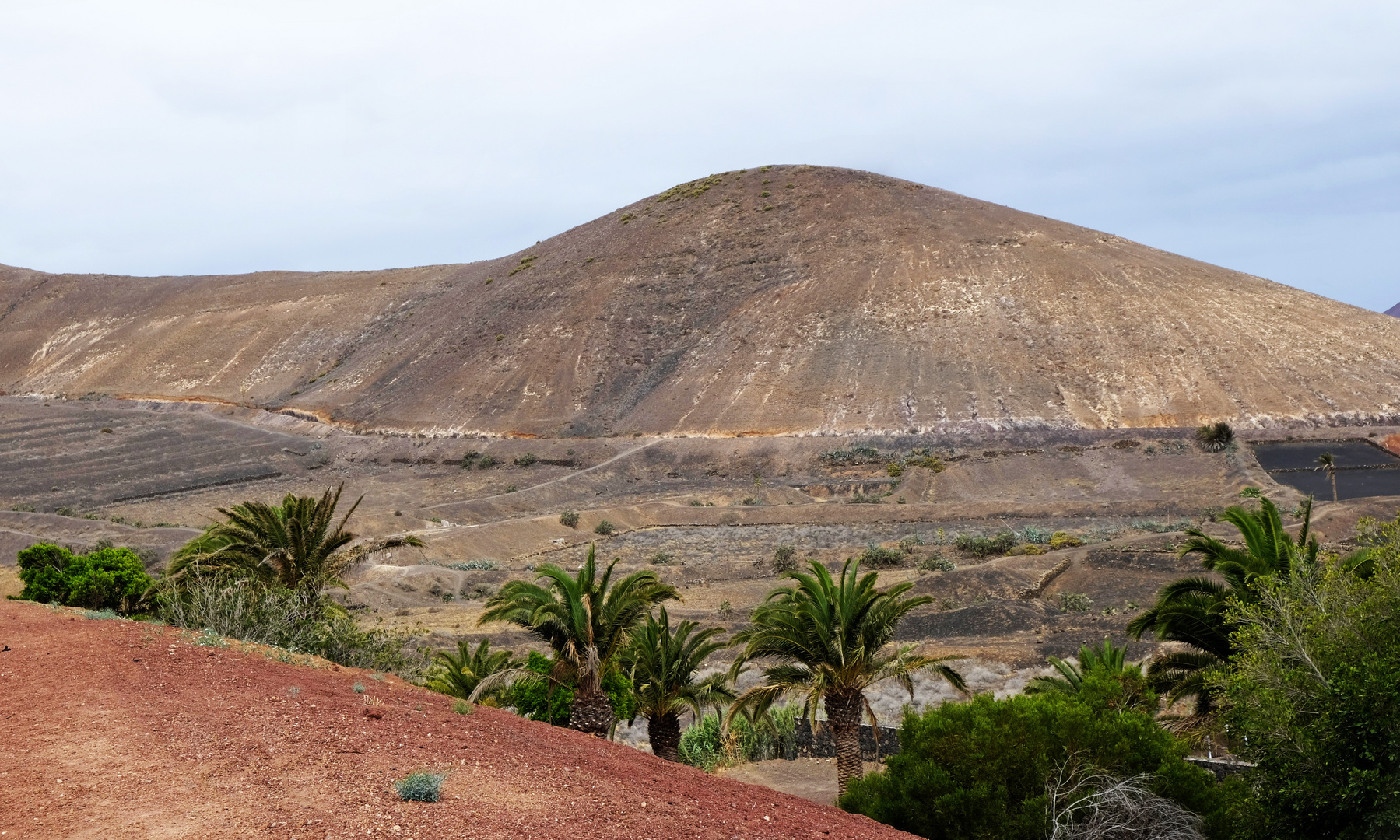 DSF5660_a  __VOLCAN DURMIENTE__ 