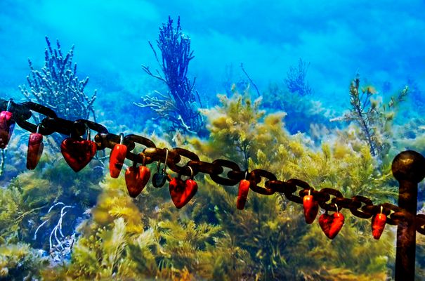 _DSF8339a12 __DEEP LOVE__