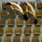 Dt. Meisterschaften im Wasserspringen in Berlin IV