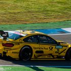 DTM BMW M4 - Timo Clock #16