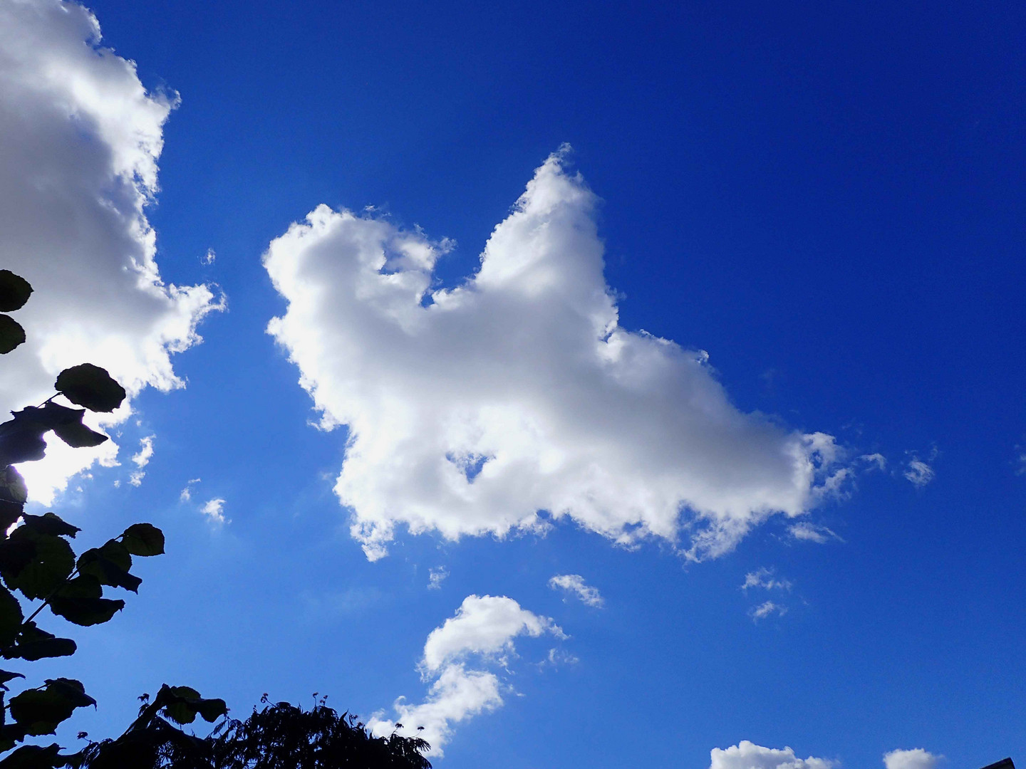 du 19/09: migration des nuages de l'été