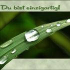 Du bist einzigartig