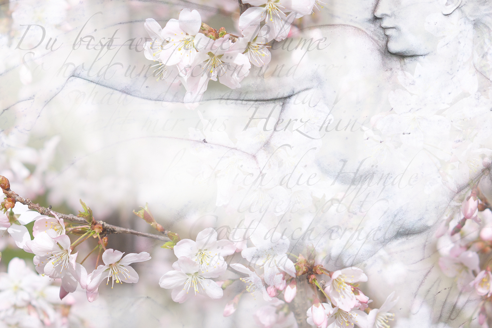 Du bist wie eine Blume Foto & Bild architektur, fotomontage