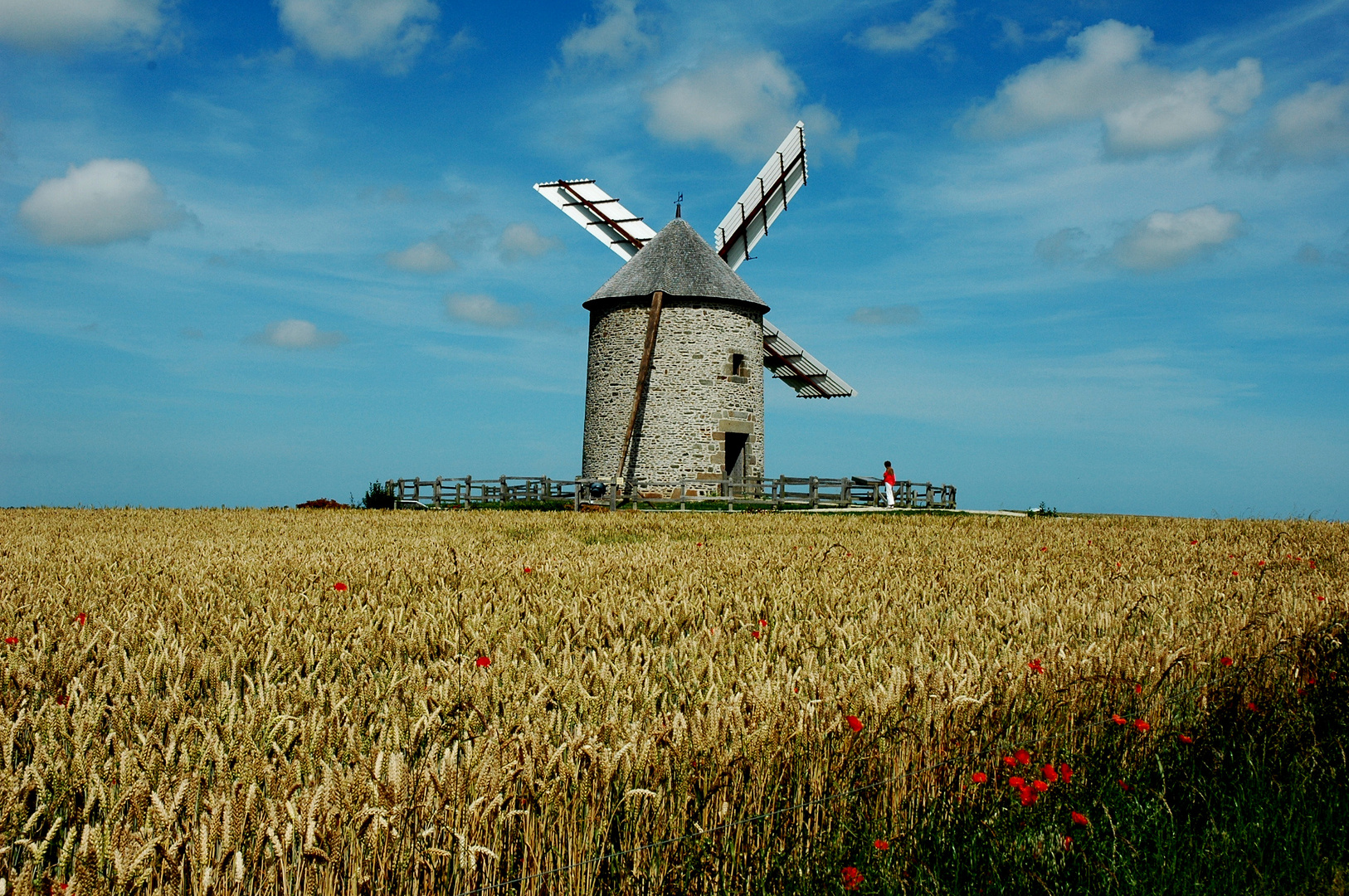 Du blé au moulin..