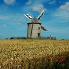 Du blé au moulin..