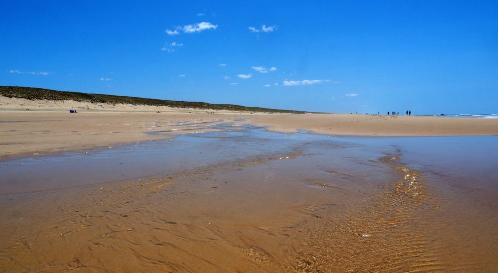 Du bleu à marée basse	